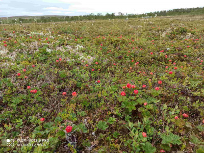 IMG_20210731_120853-min-min.jpg