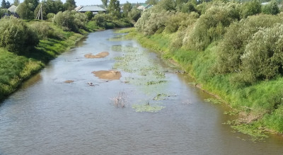 Комёла обмелела.jpg