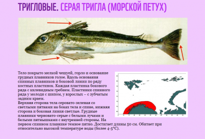 Screenshot 2021-09-28 at 23-16-18 opredelitel_ryb_compressed pdf.png