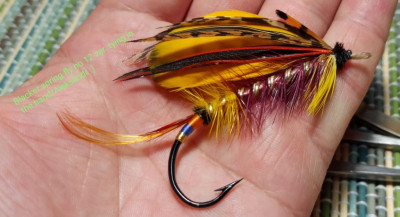 Blacker fly № 12 tying in the hand on my hook.jpg