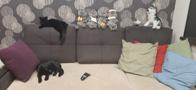 WhatsApp Image 2021-10-28 at 22.25.21.jpeg