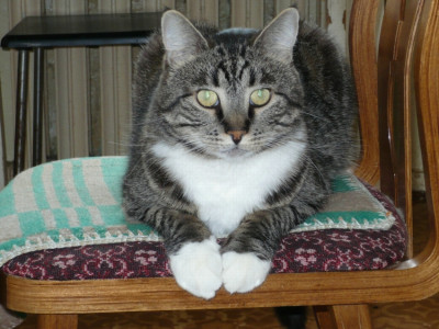 Изображение 002.jpg