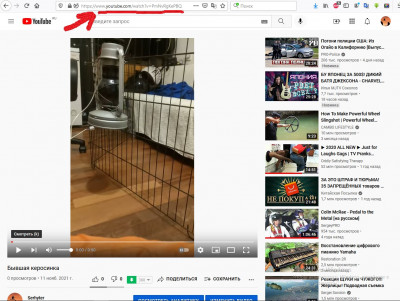 Без имени.jpg