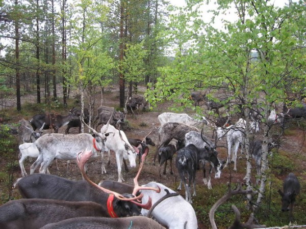 img 022_новый размер.jpg