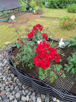 IMG_20220818_091945.jpg