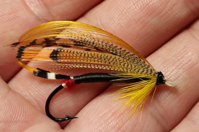 a little inky boy  salmon fly.jpg