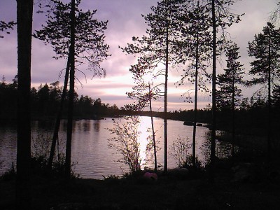 Photo-0329.jpg