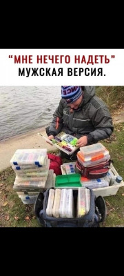 V9NreeMtcYE.jpg