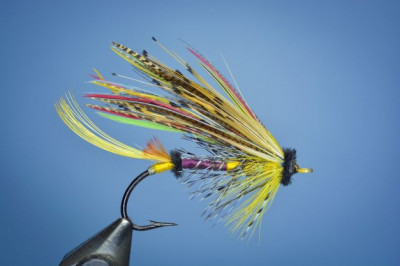 0224698_Killarney_Dooks_Haynes_and_sons й.jpg