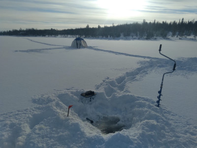 IMG-20230307-WA0001.jpg