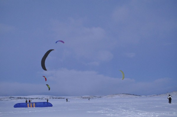 _DSC0093.jpg