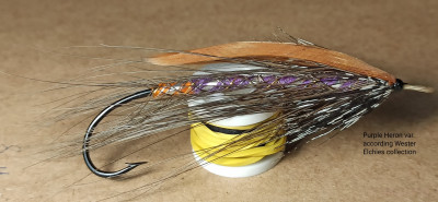 Purple Heron var..jpg