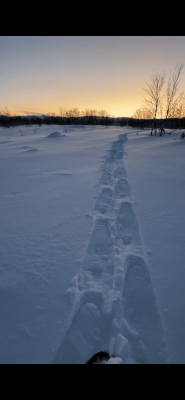 IMG_5543.png