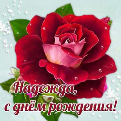 Надя.jpg