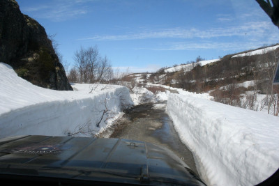 oukfSc4l388.jpg
