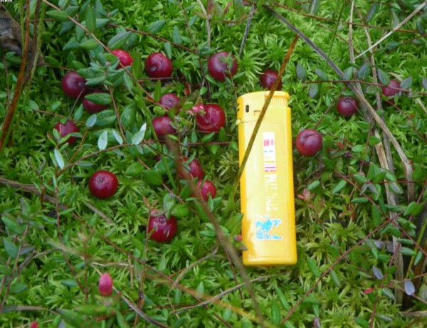 Вот она какая!.jpg