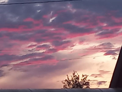 20240712_212037.jpg