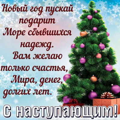 IMG-20241231-WA0008.jpg (169.96 КБ) Просмотров: 1278 IMG-20241231-WA0008.jpg