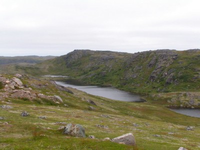 PICT0021_resize.jpg