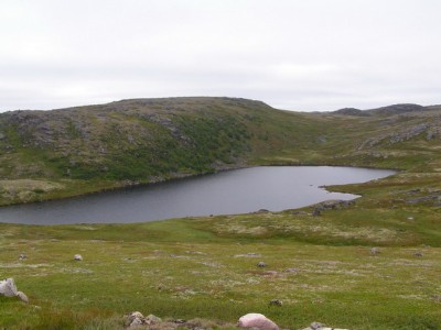 PICT0022_resize.jpg