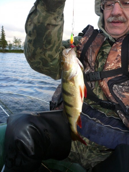 P1070551.JPG (175.87 КБ) Просмотров: 6936 P1070551.JPG