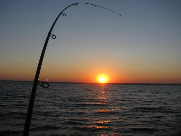 IMG_4035.jpg
