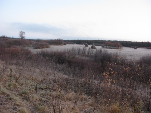 Dfhpeuf 09.10.2011.jpg