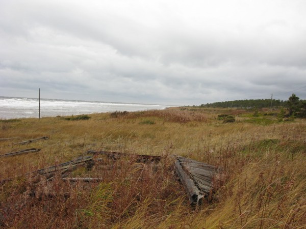 Шторм на Белом.jpg