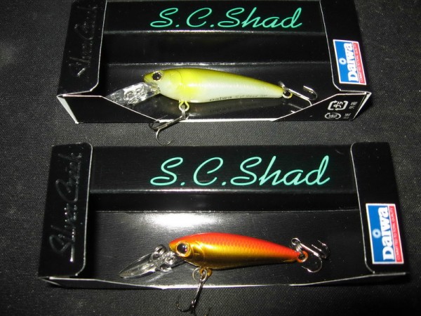 sn 004_новый размер.jpg