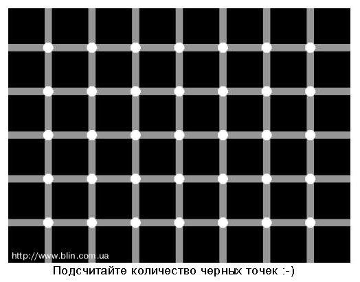 x_9f4243d7.jpg