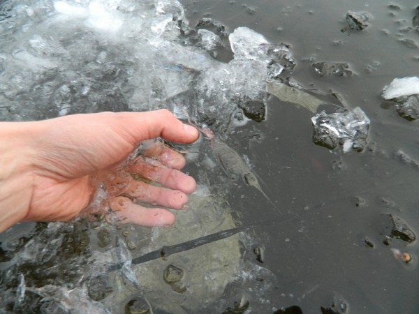DSCN2298.JPG