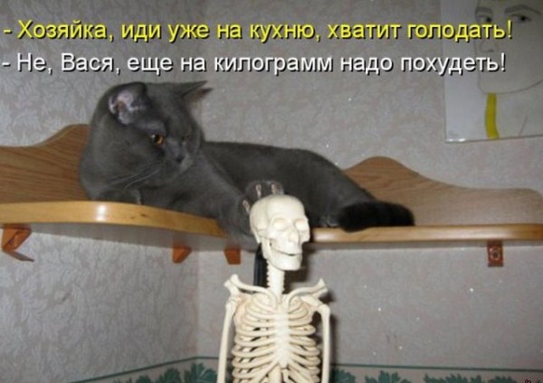 1315560814_9_4 [640x480].jpg