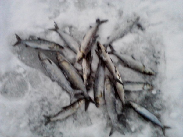 P22-11-11_16.09.jpg