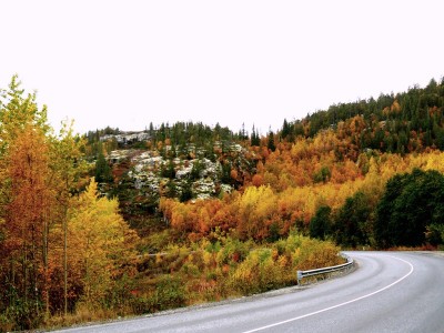 8км.JPG (212.03 КБ) Просмотров: 1884 8км.JPG