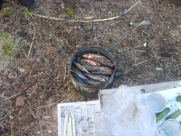 S5003334.JPG