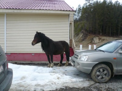 10 встреча однокл 46.jpg