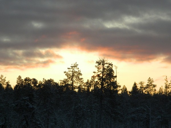 DSCN3084.JPG