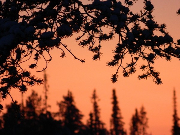 DSCN3121.JPG