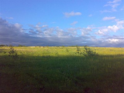 02072010080 (Small).jpg