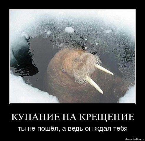 x_ac72910e.jpg