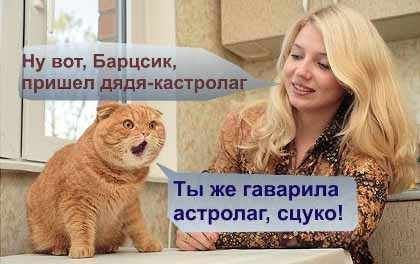 x_74741eae.jpg
