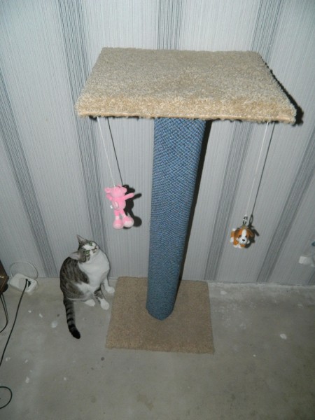 DSCN3297.JPG