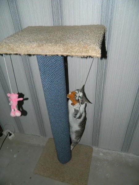 DSCN3299.JPG