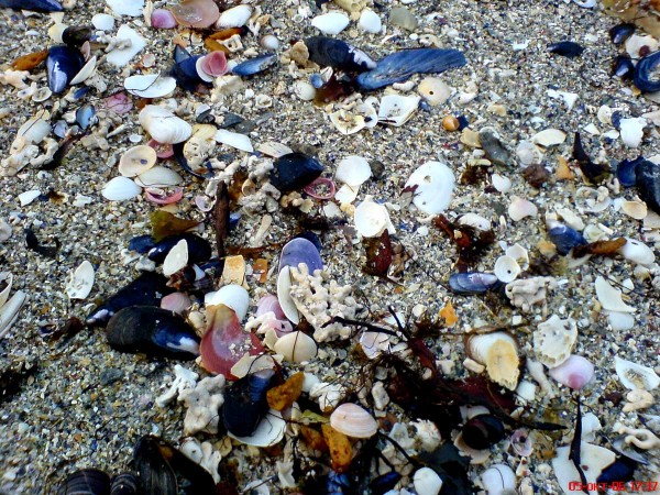 SONY  Свадьба на заводе 177.jpg