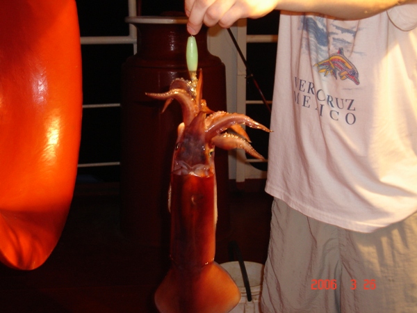 DSC00448.JPG