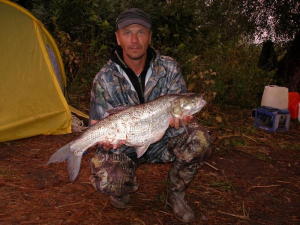 P5132341 (Копировать).JPG