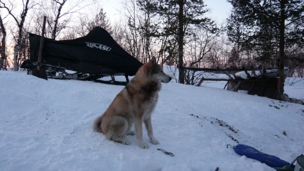 февраль2009г 036.jpg