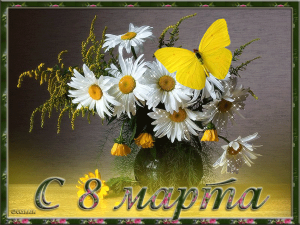 8 м 1.gif
