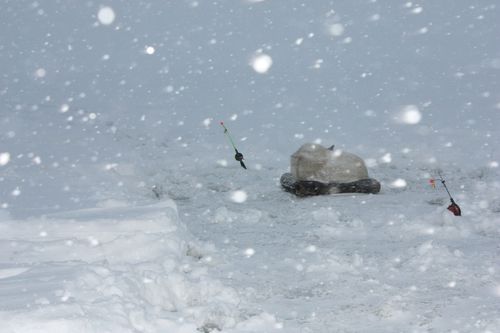 И Шурку замело.jpg