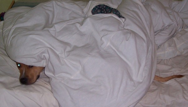 всё равно бельё менять.jpg